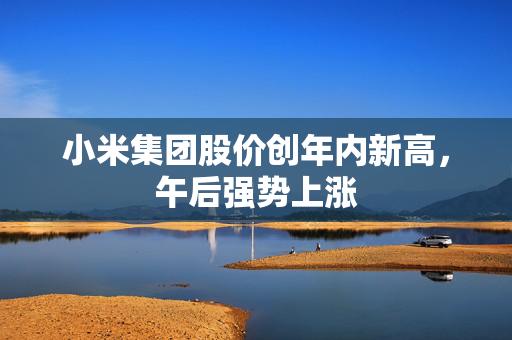 小米集团股价创年内新高，午后强势上涨