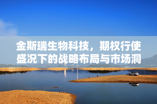 金斯瑞生物科技，期权行使盛况下的战略布局与市场洞察，51.4万股发行背后的智慧决策
