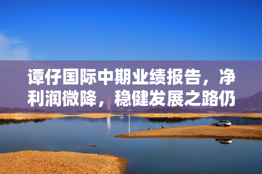 谭仔国际中期业绩报告，净利润微降，稳健发展之路仍持续