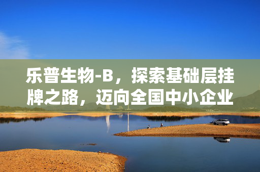 乐普生物-B，探索基础层挂牌之路，迈向全国中小企业股份转让系统