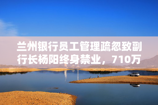 兰州银行员工管理疏忽致副行长杨阳终身禁业，710万元罚款揭示管理漏洞的严重性