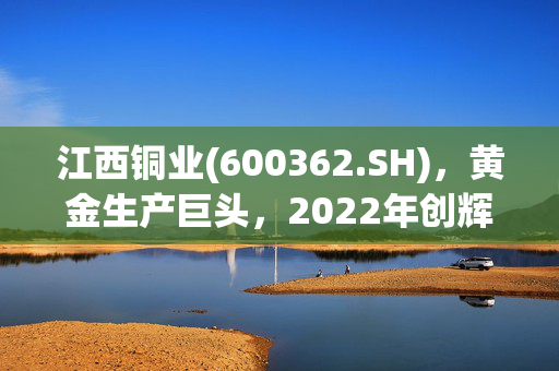 江西铜业(600362.SH)，黄金生产巨头，2022年创辉煌产出88.8吨