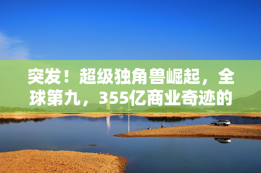 突发！超级独角兽崛起，全球第九，355亿商业奇迹的诞生
