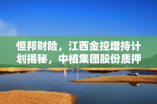 恒邦财险，江西金控增持计划揭秘，中植集团股份质押与冻结的深度解析
