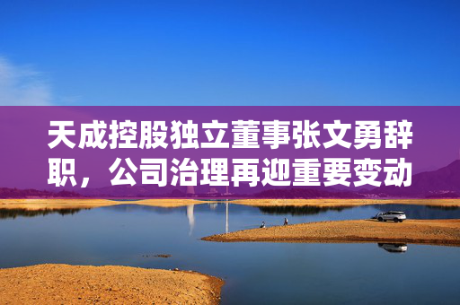 天成控股独立董事张文勇辞职，公司治理再迎重要变动