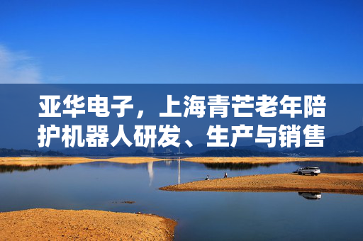 亚华电子，上海青芒老年陪护机器人研发、生产与销售之路的探索与实践