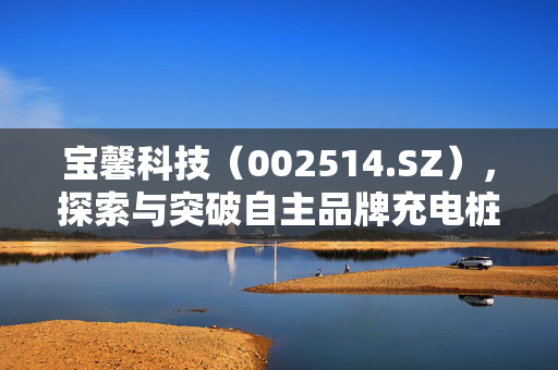 宝馨科技（002514.SZ），探索与突破自主品牌充电桩与换电站技术产品，引领未来