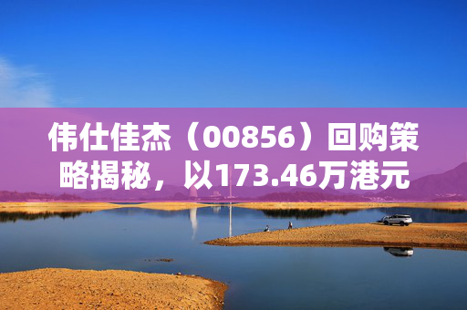 伟仕佳杰（00856）回购策略揭秘，以173.46万港元回购43万股的背后考量