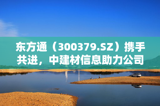 东方通（300379.SZ）携手共进，中建材信息助力公司发展成重要合作伙伴