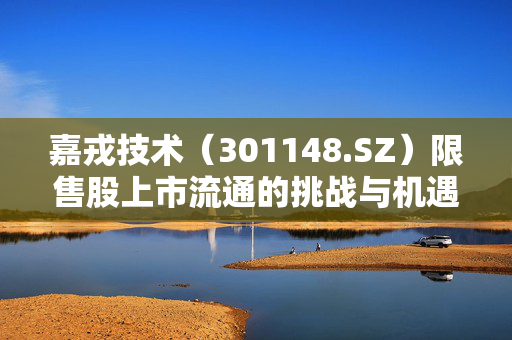嘉戎技术（301148.SZ）限售股上市流通的挑战与机遇