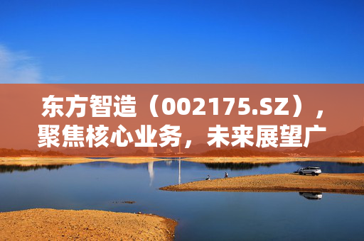 东方智造（002175.SZ），聚焦核心业务，未来展望广阔