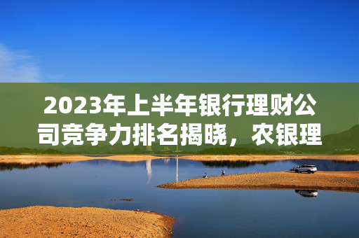 2023年上半年银行理财公司竞争力排名揭晓，农银理财、平安理财与光大理财的挑战与机遇