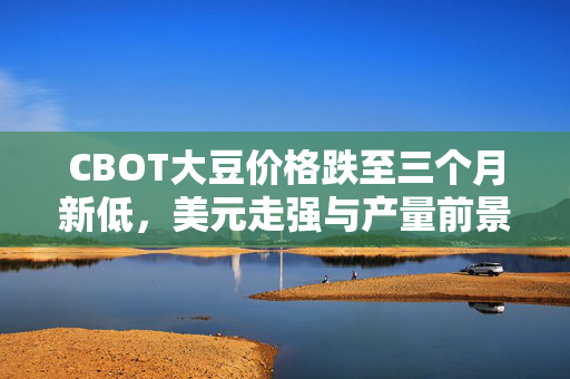 CBOT大豆价格跌至三个月新低，美元走强与产量前景改善双重影响下的市场反应