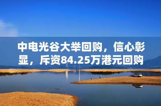 中电光谷大举回购，信心彰显，斥资84.25万港元回购308.8万股