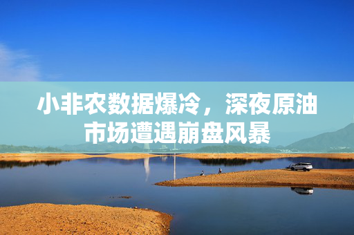 小非农数据爆冷，深夜原油市场遭遇崩盘风暴