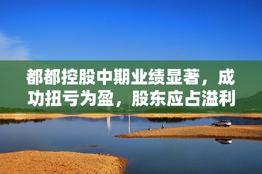 都都控股中期业绩显著，成功扭亏为盈，股东应占溢利达98.1万港元