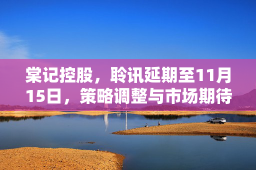 棠记控股，聆讯延期至11月15日，策略调整与市场期待交织