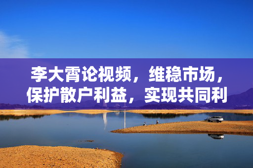 李大霄论视频，维稳市场，保护散户利益，实现共同利益