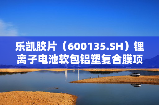 乐凯胶片（600135.SH）锂离子电池软包铝塑复合膜项目竣工验收顺利完成