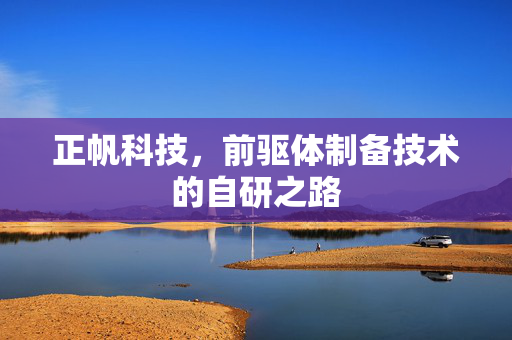 正帆科技，前驱体制备技术的自研之路