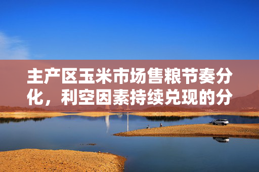 主产区玉米市场售粮节奏分化，利空因素持续兑现的分析报告