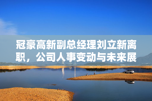 冠豪高新副总经理刘立新离职，公司人事变动与未来展望