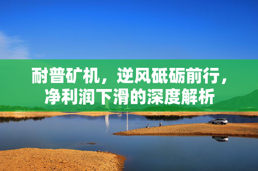 耐普矿机，逆风砥砺前行，净利润下滑的深度解析