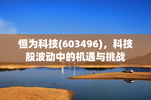 恒为科技(603496)，科技股波动中的机遇与挑战