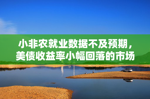 小非农就业数据不及预期，美债收益率小幅回落的市场影响分析