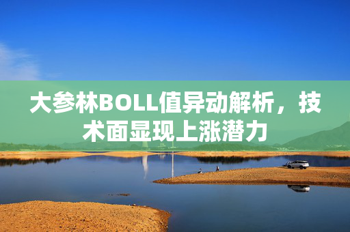 大参林BOLL值异动解析，技术面显现上涨潜力