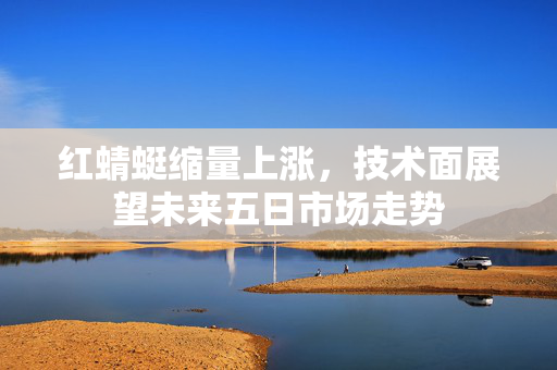 红蜻蜓缩量上涨，技术面展望未来五日市场走势