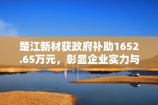 楚江新材获政府补助1652.65万元，彰显企业实力与政策双重支持