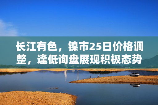 长江有色，镍市25日价格调整，逢低询盘展现积极态势