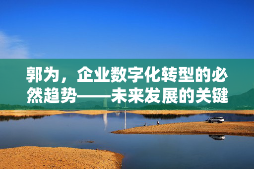 郭为，企业数字化转型的必然趋势——未来发展的关键一步
