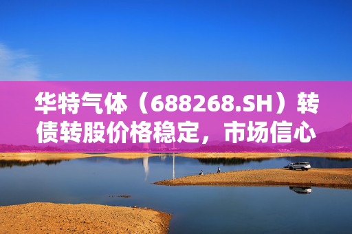 华特气体（688268.SH）转债转股价格稳定，市场信心与策略深度解析