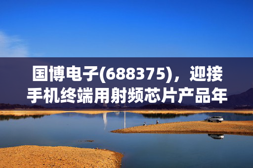 国博电子(688375)，迎接手机终端用射频芯片产品年度框架招标采购的挑战与机遇