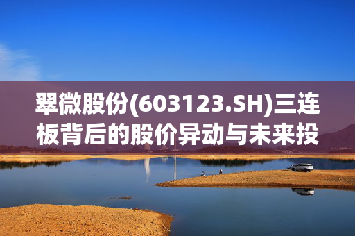 翠微股份(603123.SH)三连板背后的股价异动与未来投资收益的不确定性