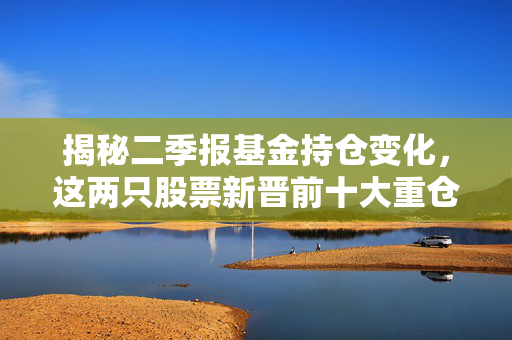 揭秘二季报基金持仓变化，这两只股票新晋前十大重仓股的秘密