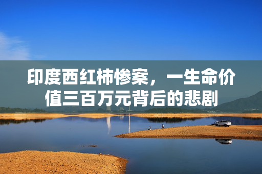 印度西红柿惨案，一生命价值三百万元背后的悲剧