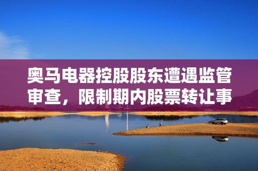 奥马电器控股股东遭遇监管审查，限制期内股票转让事件揭秘