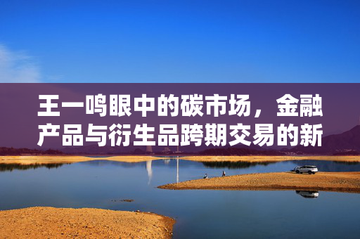 王一鸣眼中的碳市场，金融产品与衍生品跨期交易的新篇章