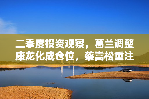 二季度投资观察，葛兰调整康龙化成仓位，蔡嵩松重注AI，朱少醒、谢治宇风险警示