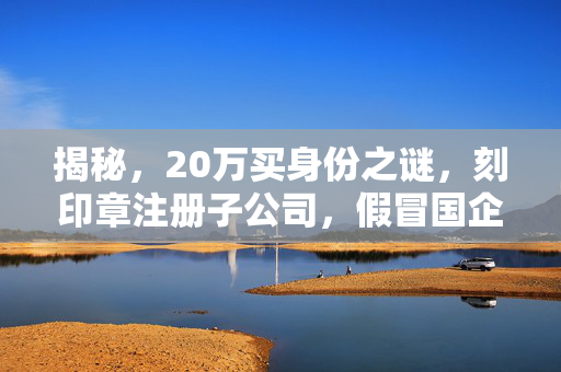 揭秘，20万买身份之谜，刻印章注册子公司，假冒国企乱象调查