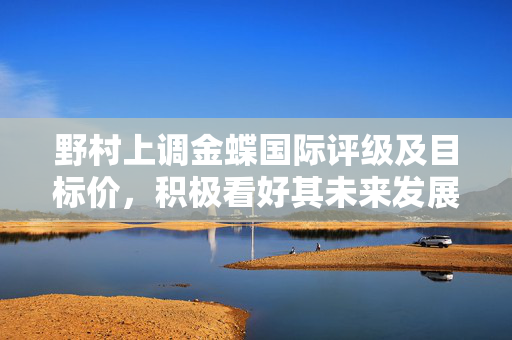 野村上调金蝶国际评级及目标价，积极看好其未来发展前景