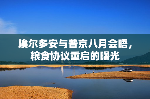 埃尔多安与普京八月会晤，粮食协议重启的曙光