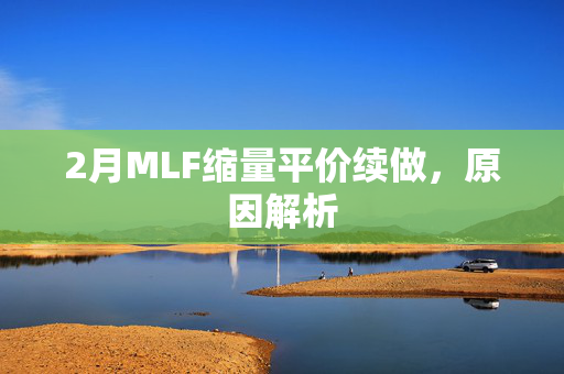 2月MLF缩量平价续做，原因解析