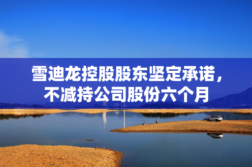 雪迪龙控股股东坚定承诺，不减持公司股份六个月