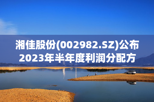 湘佳股份(002982.SZ)公布2023年半年度利润分配方案