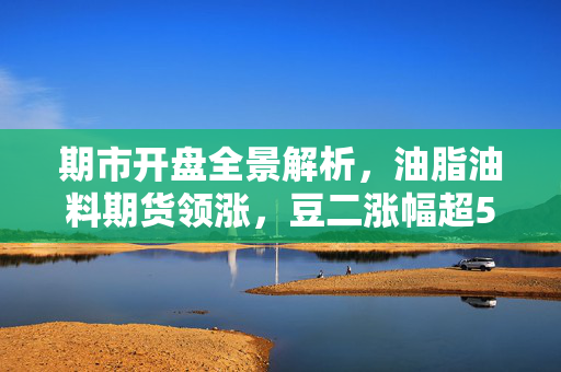 期市开盘全景解析，油脂油料期货领涨，豆二涨幅超5%