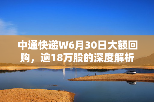 中通快递W6月30日大额回购，逾18万股的深度解析
